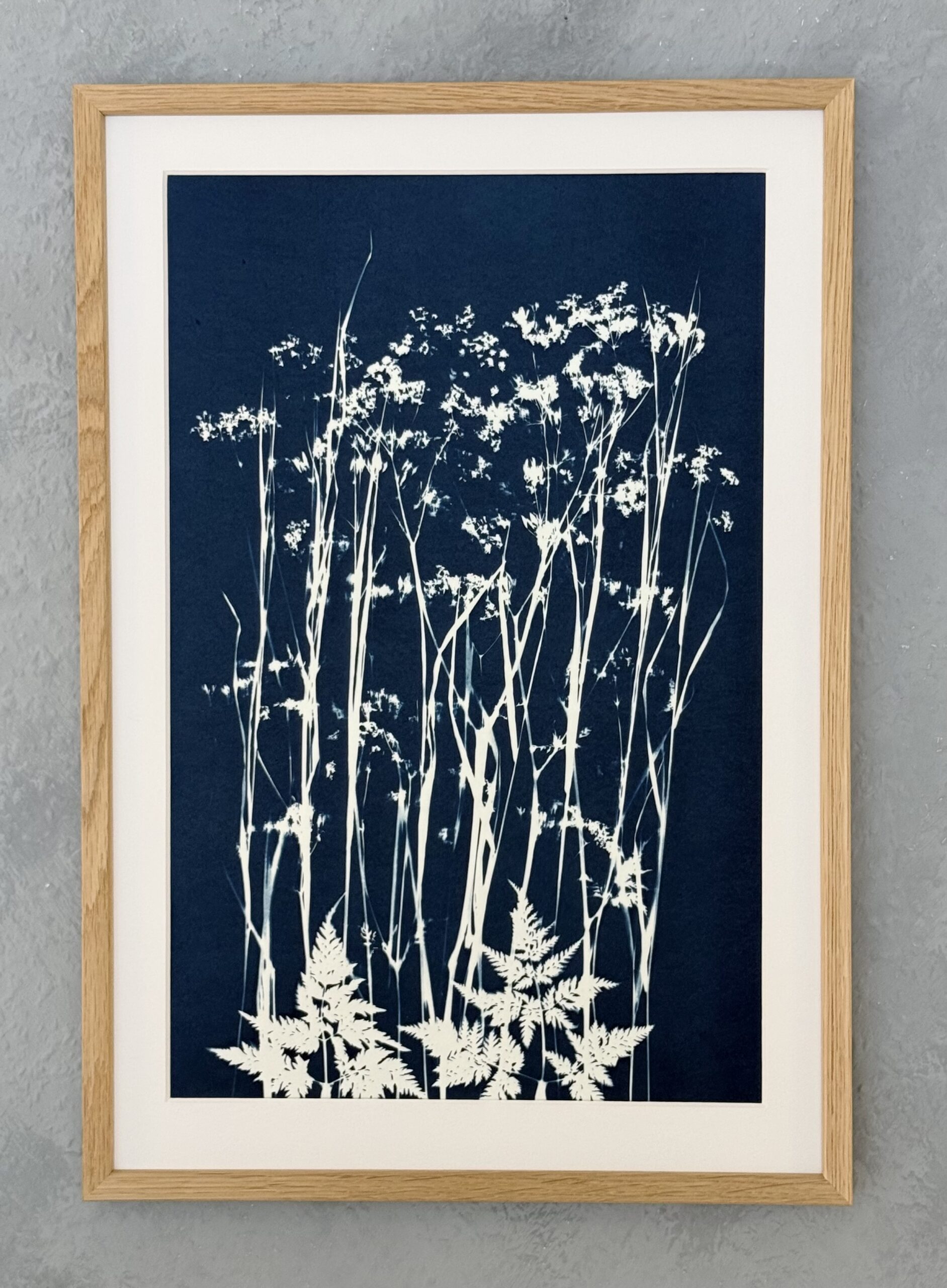 Grøftekant / Cyanotypi billede nr. 9 ca. 35×50 cm. Pris 950 kr.