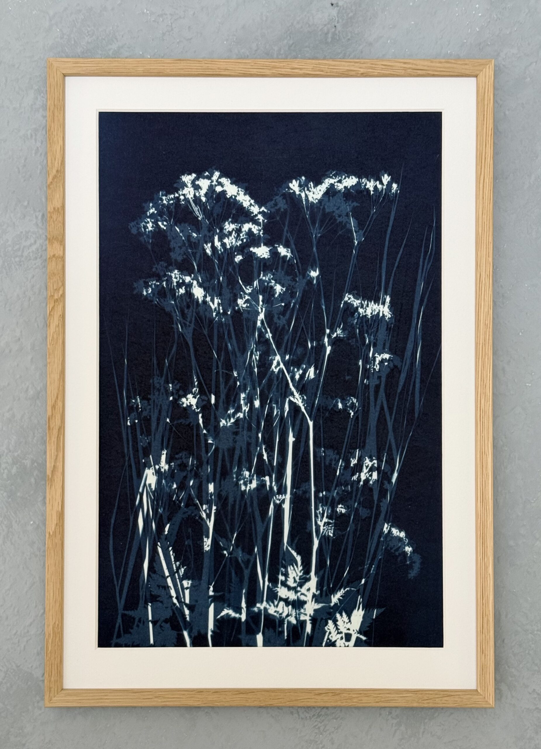 Mark / Cyanotypi billede nr. 1 ca. 35×50 cm. Pris 950 kr.