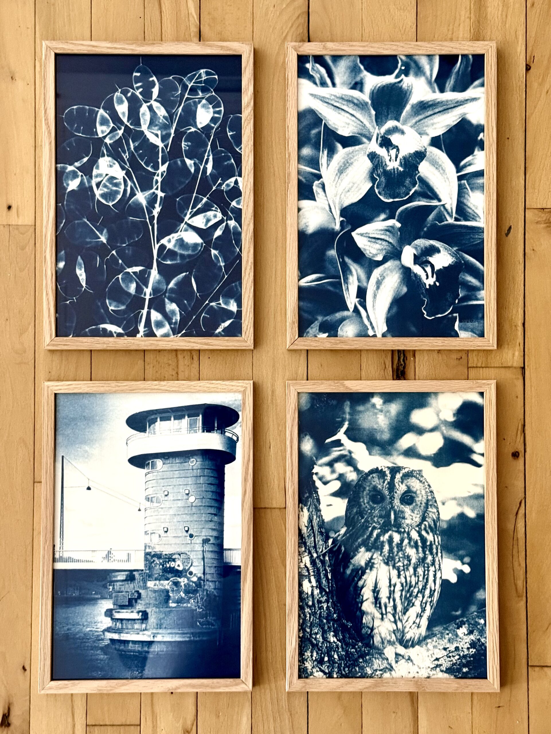 Her er lige 4 af de små Cyanotype billeder 20x 30 cm. 3 af dem er fra negativer.