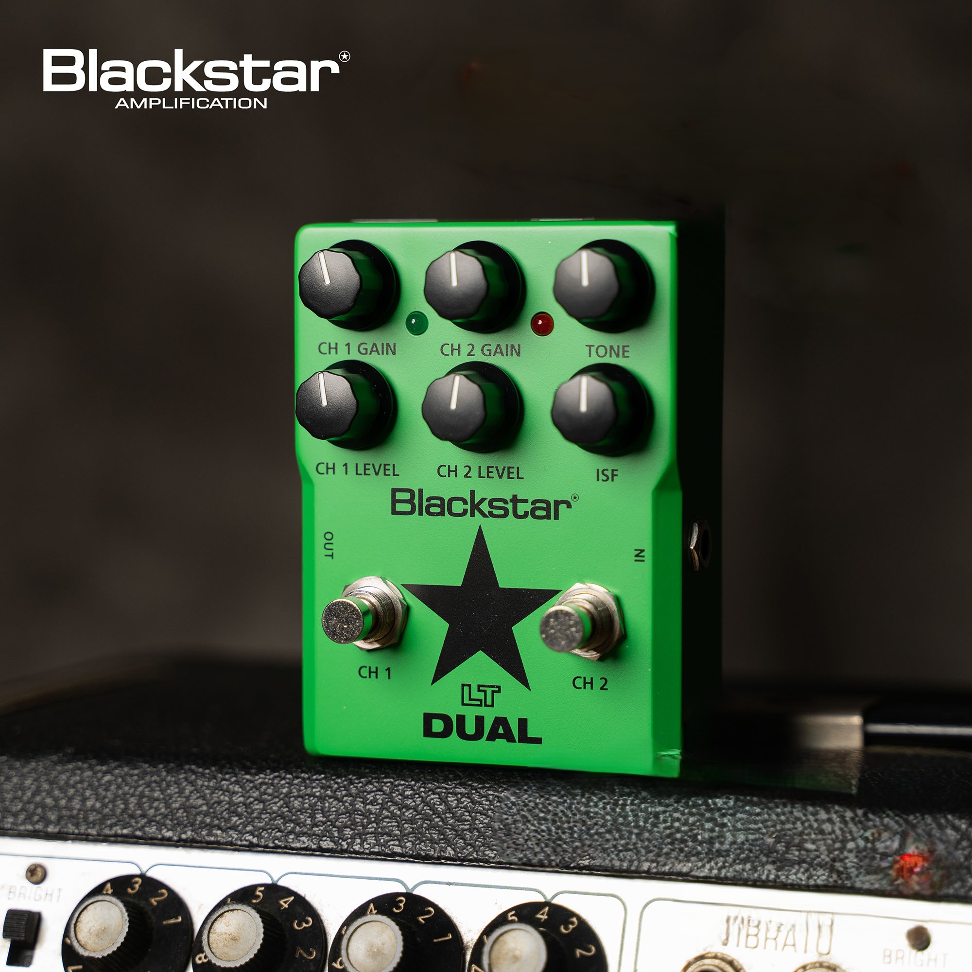 Black star LT DUAL distortion 【公式通販】