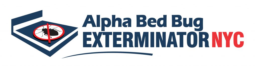 · clearing and properly packing all items from floor, surfaces, drawers, closets, . Top Bed Bug Preparation In Nyc Fast Easy Prep Services