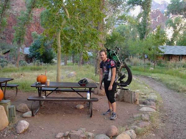 Mount Lemmon Trail | Sirena's Wanderings