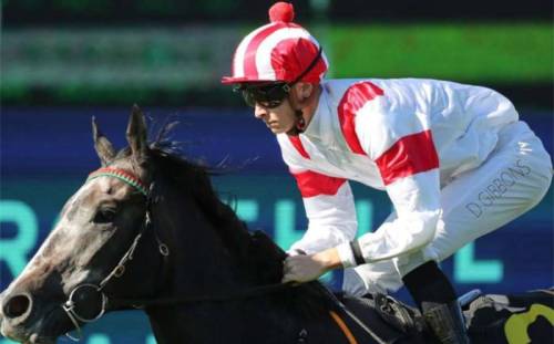 The Horses to Watch