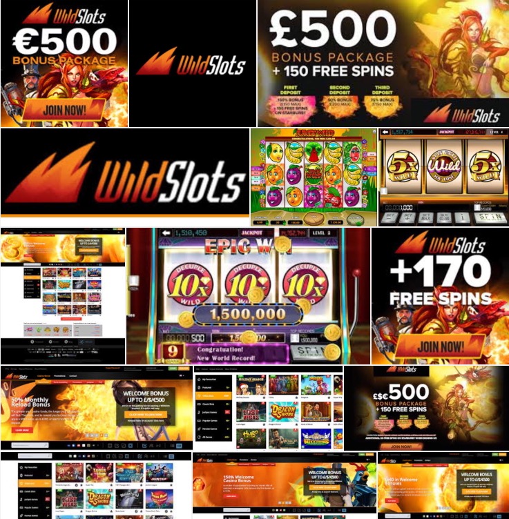Wildslots game