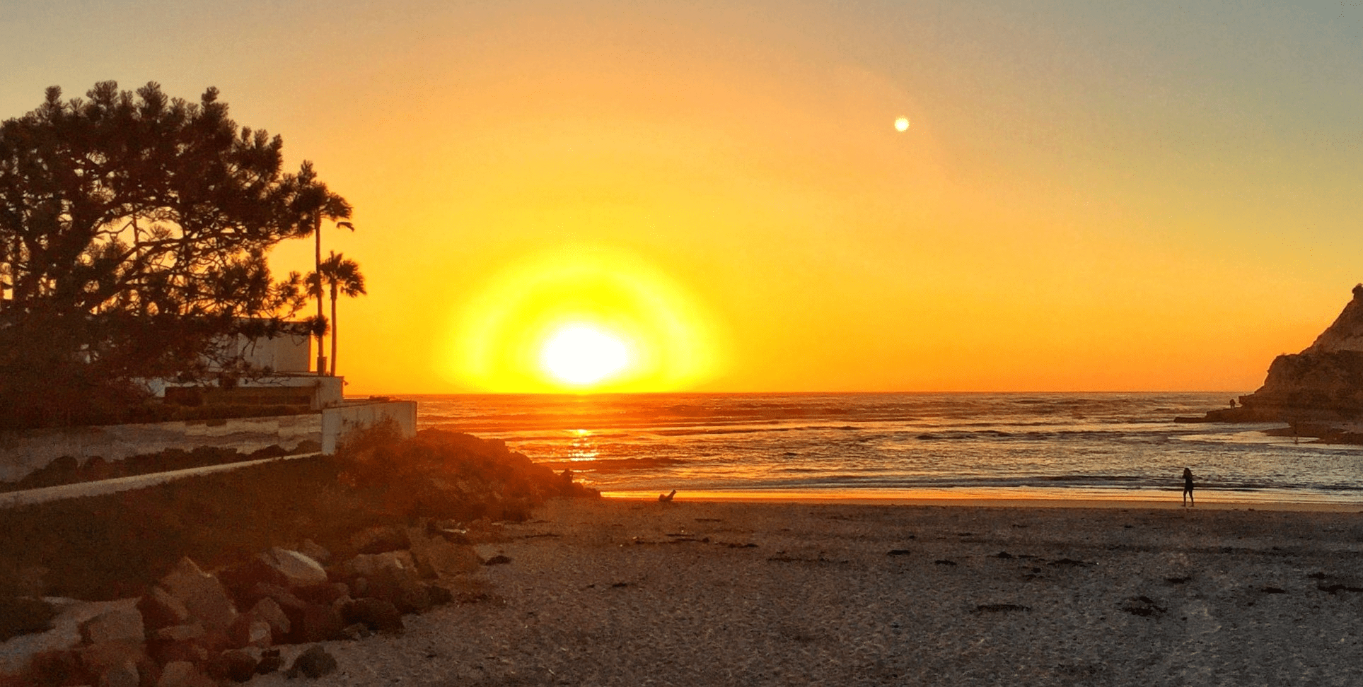 TORREY PINES DEMOCRATIC CLUB