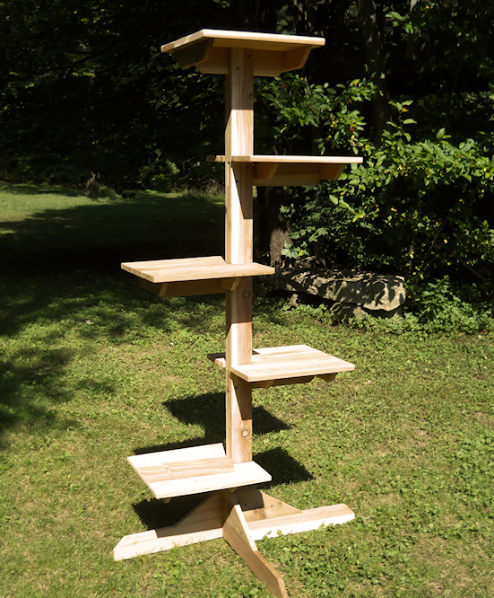 Outdoor Or Indoor Cedar Cat Tree Catsplay Superstore