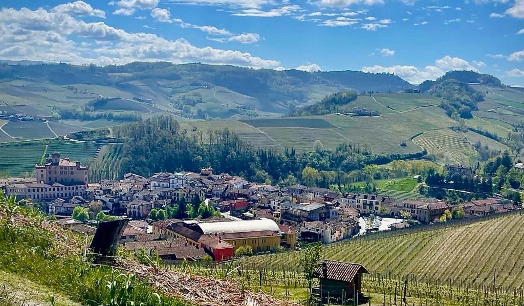 Piemonte, Langhe, Nebbiolo, Barolo e Barbaresco.