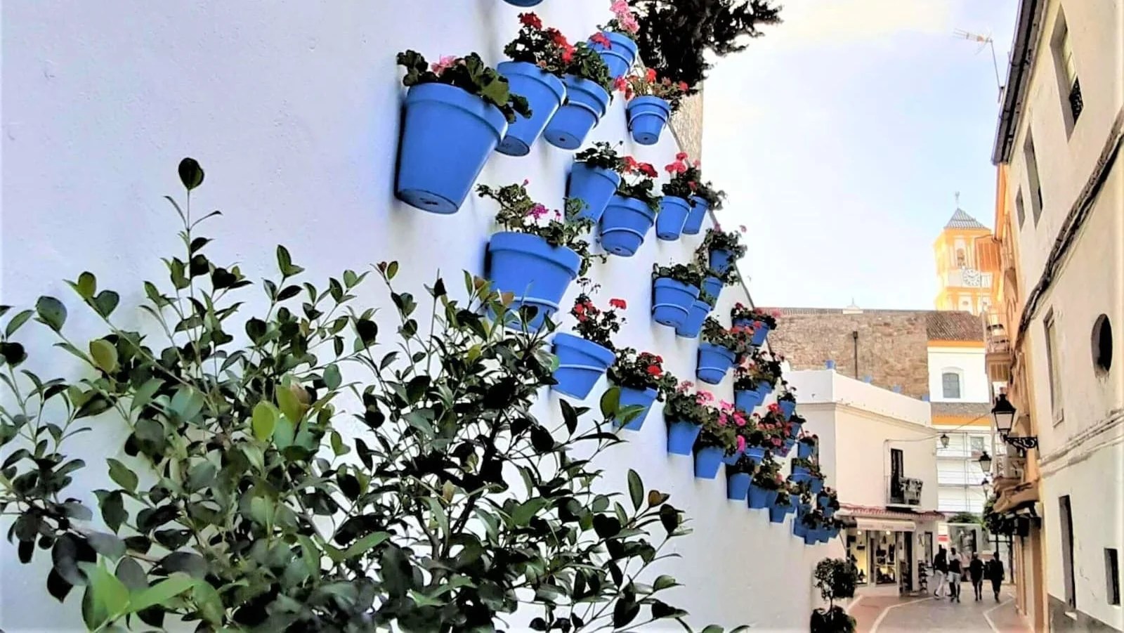 Marbella & Mijas private trip