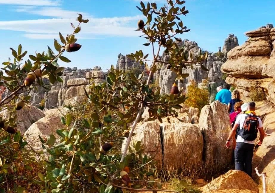 What to see in Antequera
