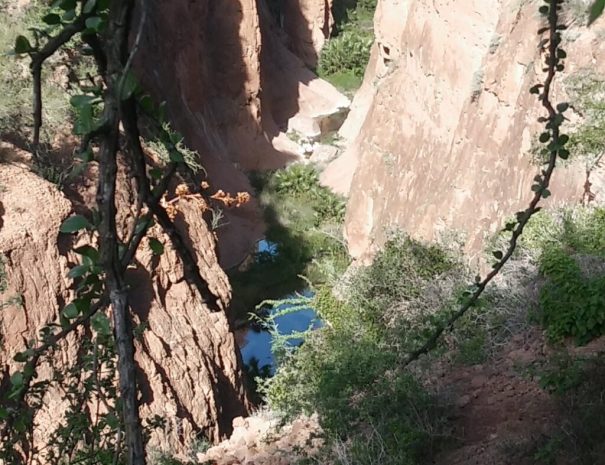 View looking down into Mesquite Canyon from the rim trail that we take back on our guided hiking tour