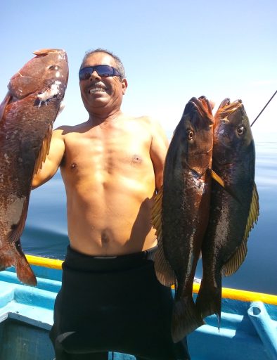 Spearfisherman holding three dog tooth snappers that he caught by spearfishing while free diving to 40 feet North of Loreto outside of Park Limmits