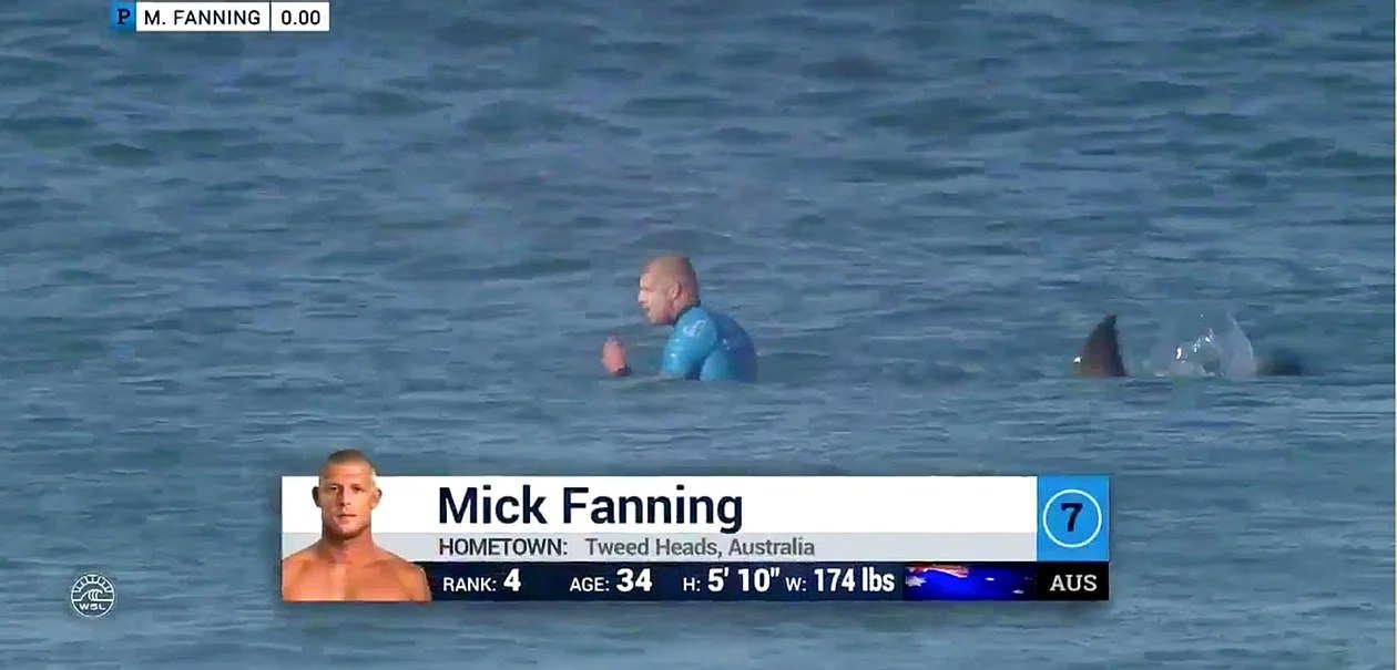 Terrifying Video Shows Surfer Attacked by Shark During Championship in
