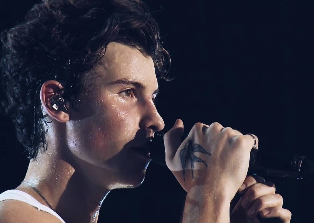 Shawn Mendes and Teddy Geiger Cover Queen's 'Under Pressure' — LISTEN