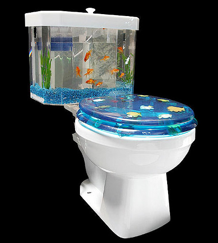In this guide, you'll learn how to choose aquarium decor,. Toilet Aquarium