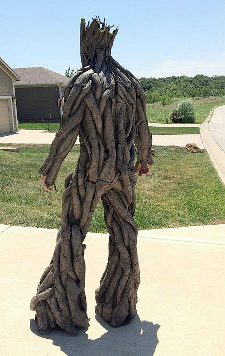 As well as bringing bonsai from all around the world to the canadian market. Groot Costume