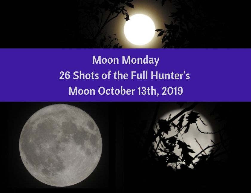 Moon Monday 26 Shots of the Full Hunter's Moon, October 13th, 2019 blog thumbnail