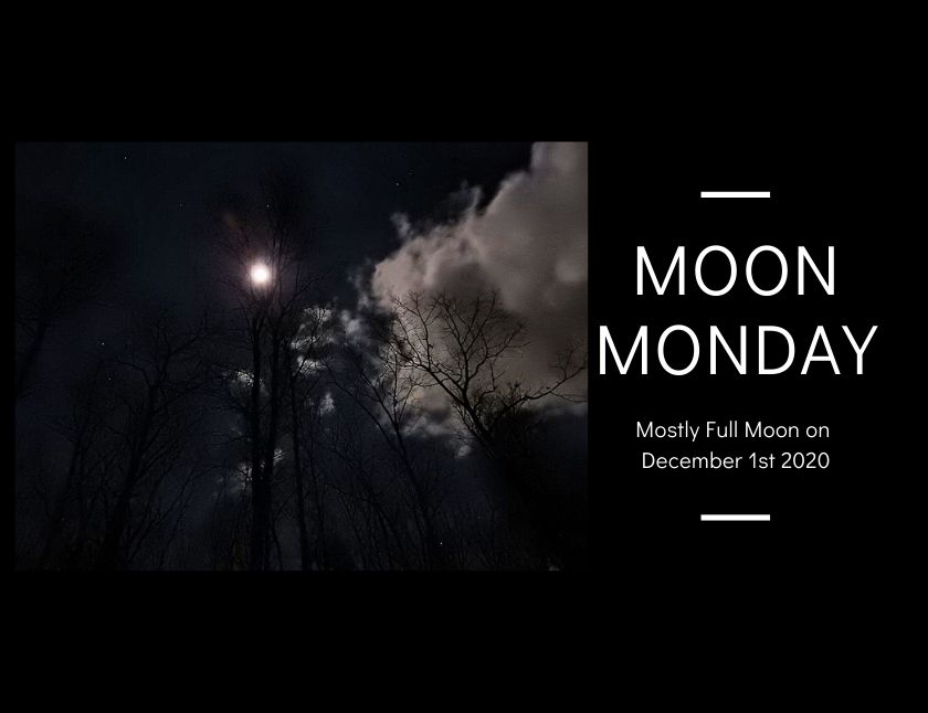 Mostly Full Moon on December 1st 2020 blog thumbnail