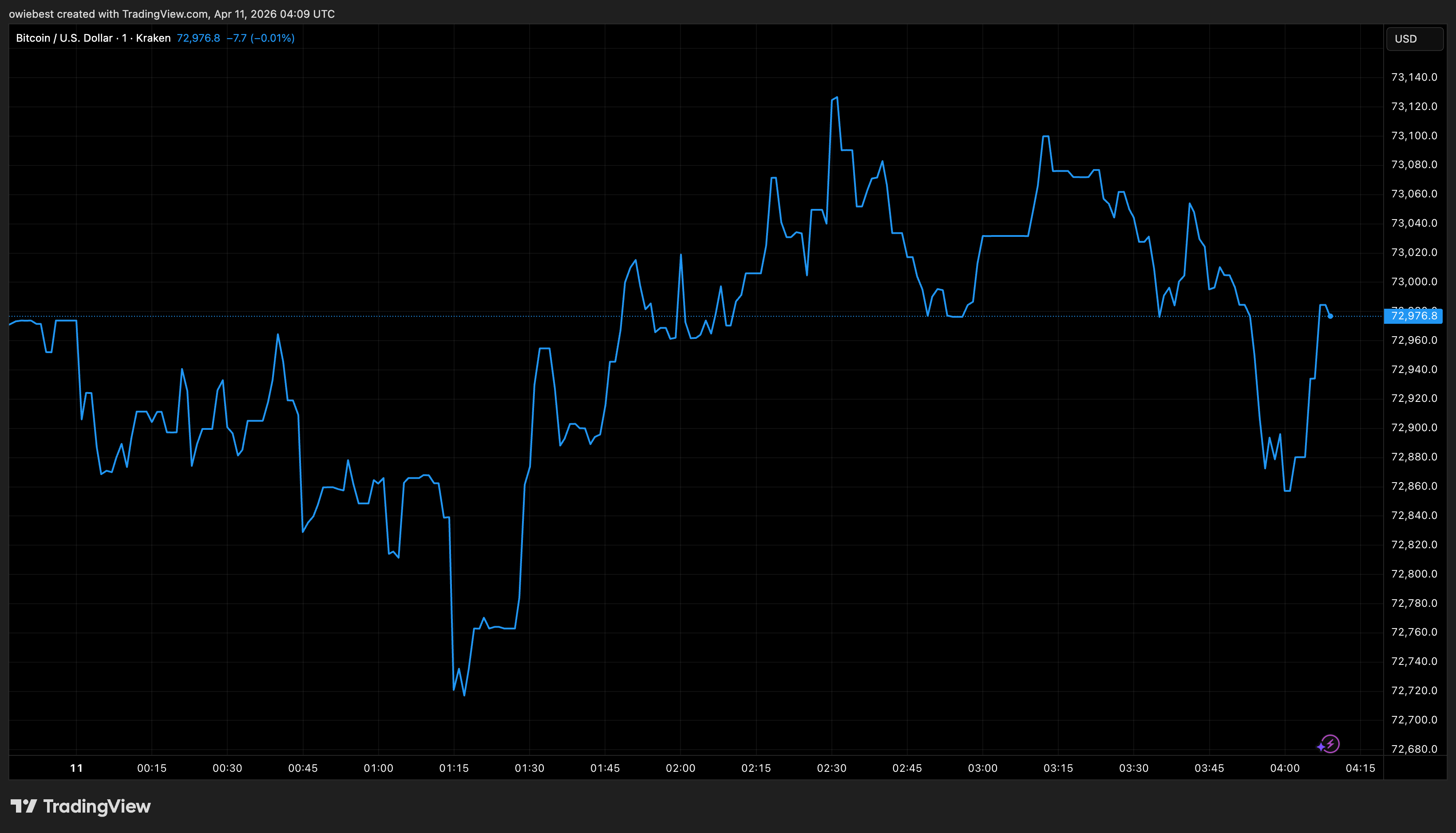 Bitcoin price chart from TradingView.com