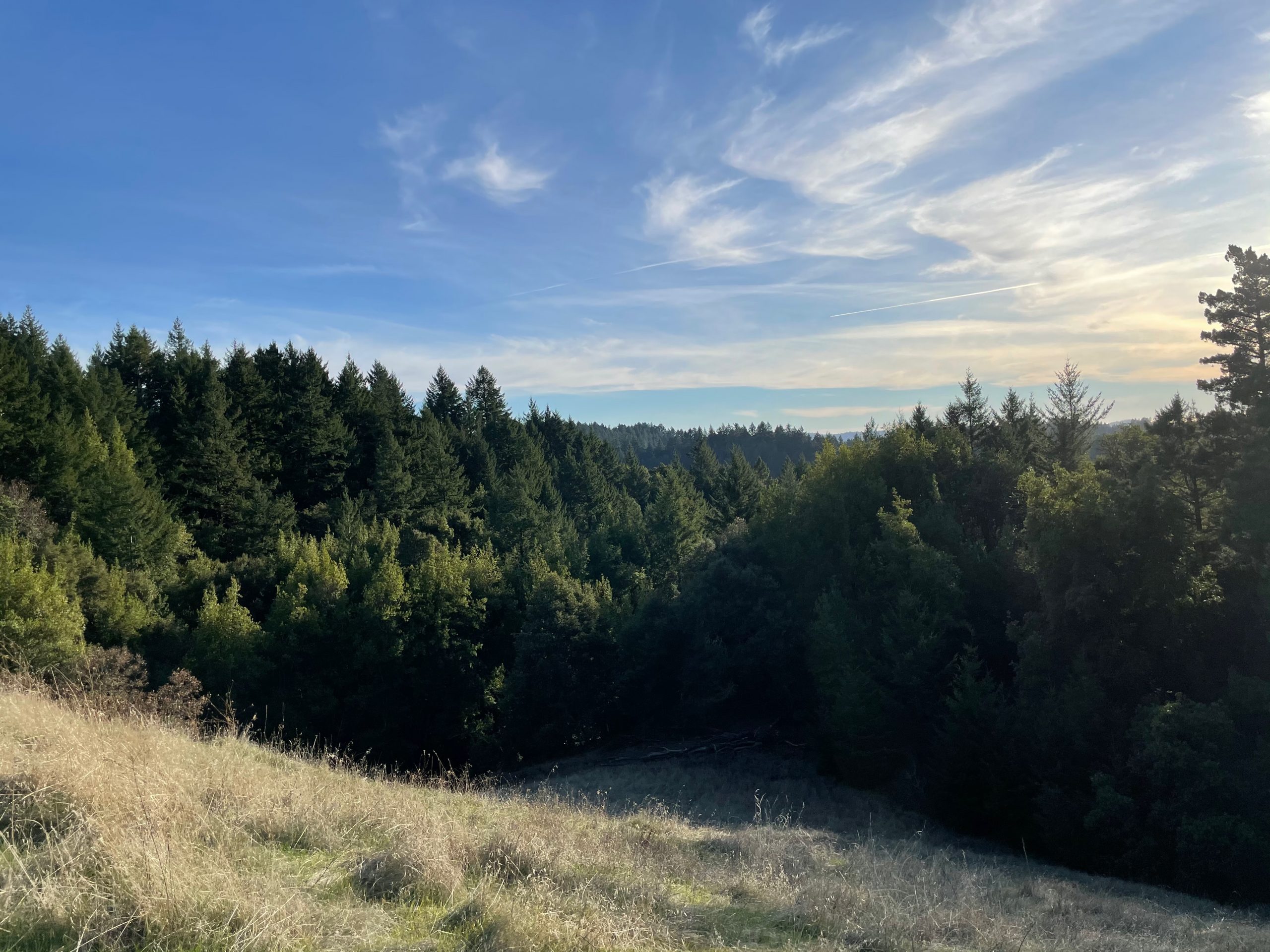 Saturday December 6th, 2025 – Long Ridge