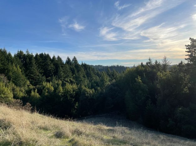 Saturday December 6th, 2025 - Long Ridge