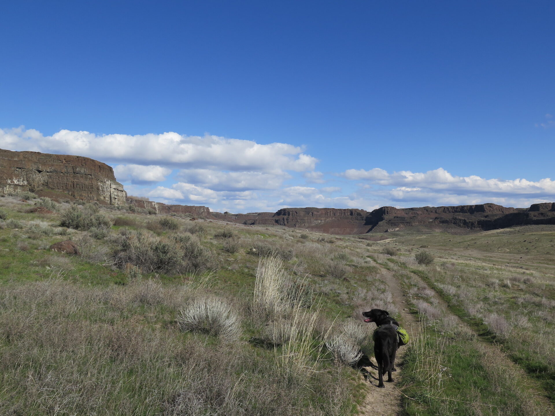 Exploring Eastern Washington Coulee Country TrailChick