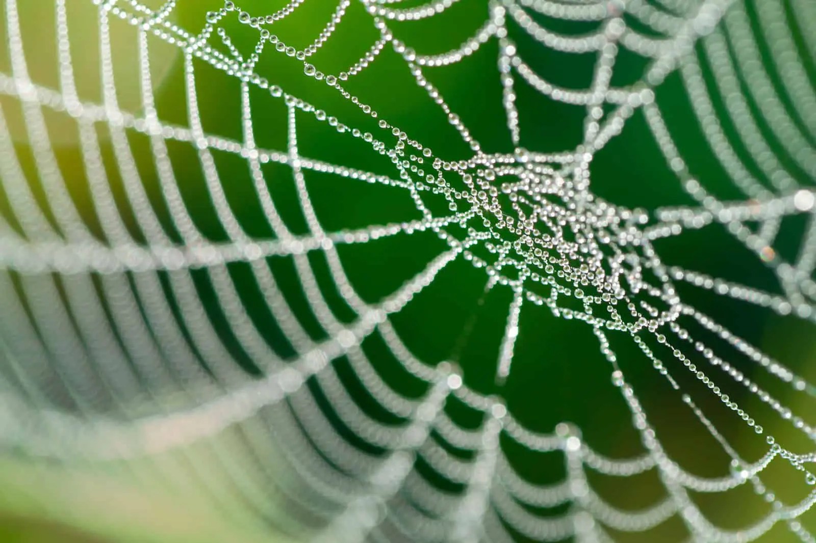When you're looking for the distances between places, or for the nearest dry cleaners, you probably rely on google maps. Spiders Web Team Building Games Uk Online Trainer Bubble