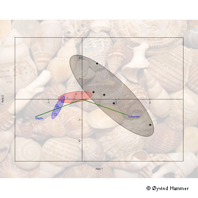 Ecology courses · ecology and wildlife conservation thumbnail. Ecology Courses Transmitting Science