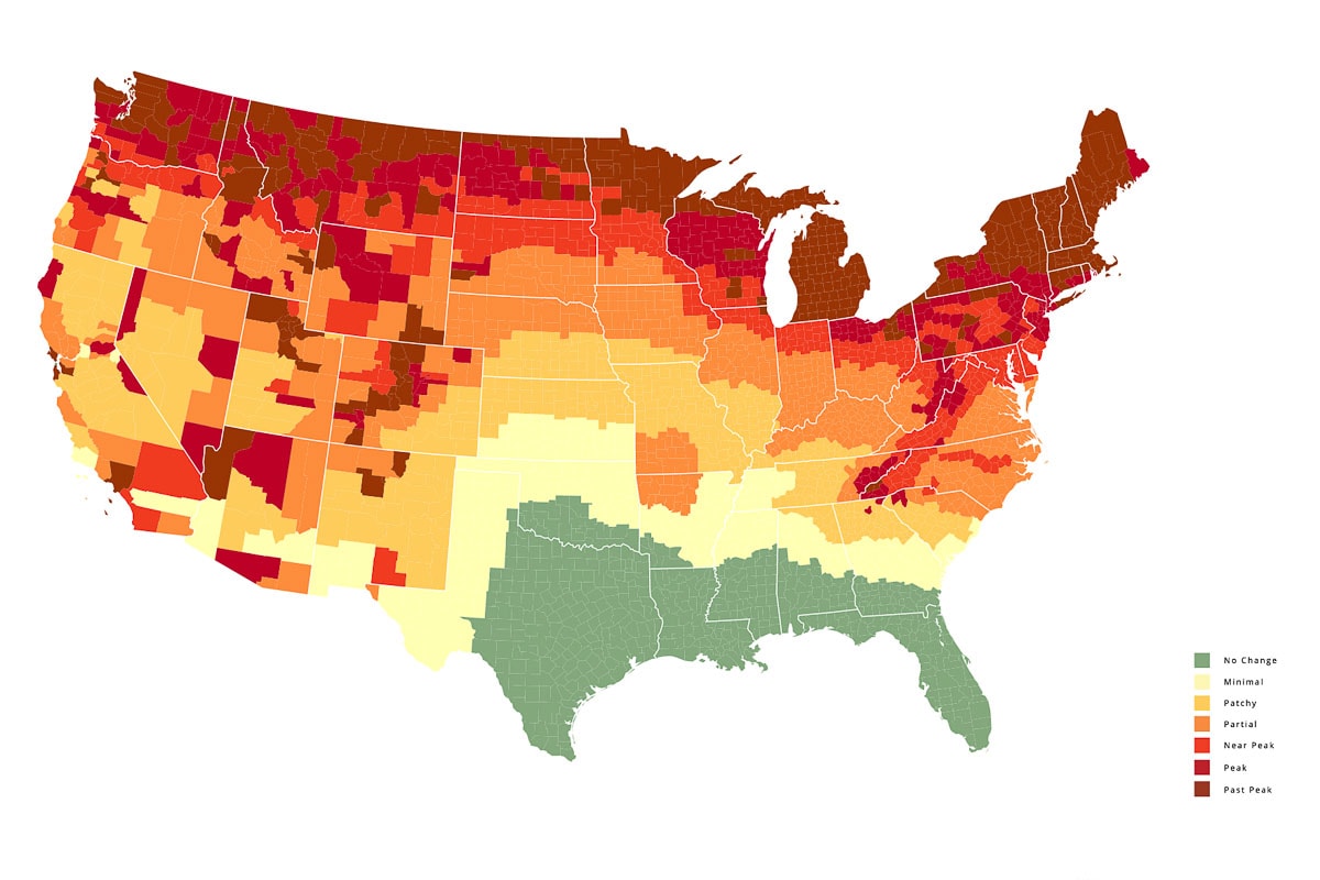 Fall Foliage Map 2024 Prediction Of Fall Colors Across America The Fall Foliage Prediction Map 