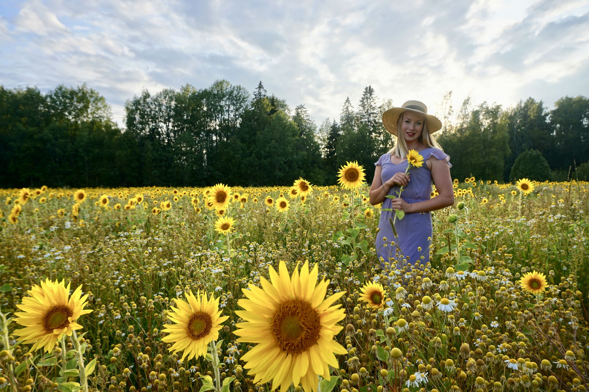 A Pocketful of Sunshine The Complete Guide to Visiting Helsinki’s