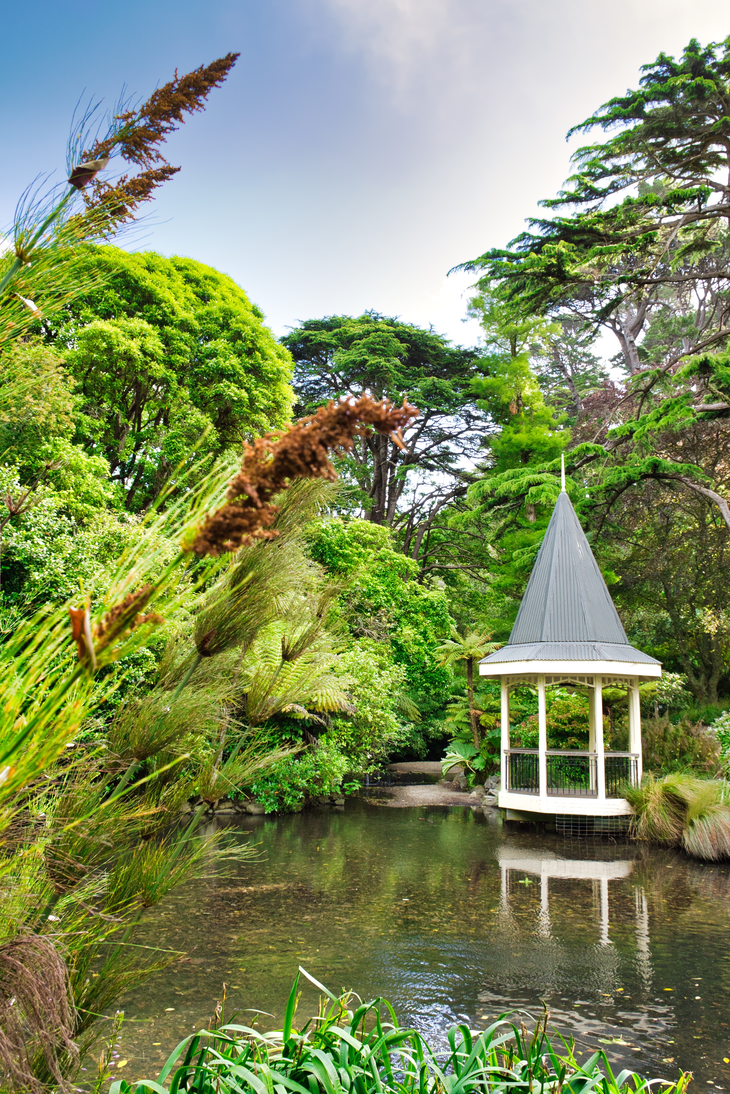 Botanic Gardens. Free attractions in Wellington. 