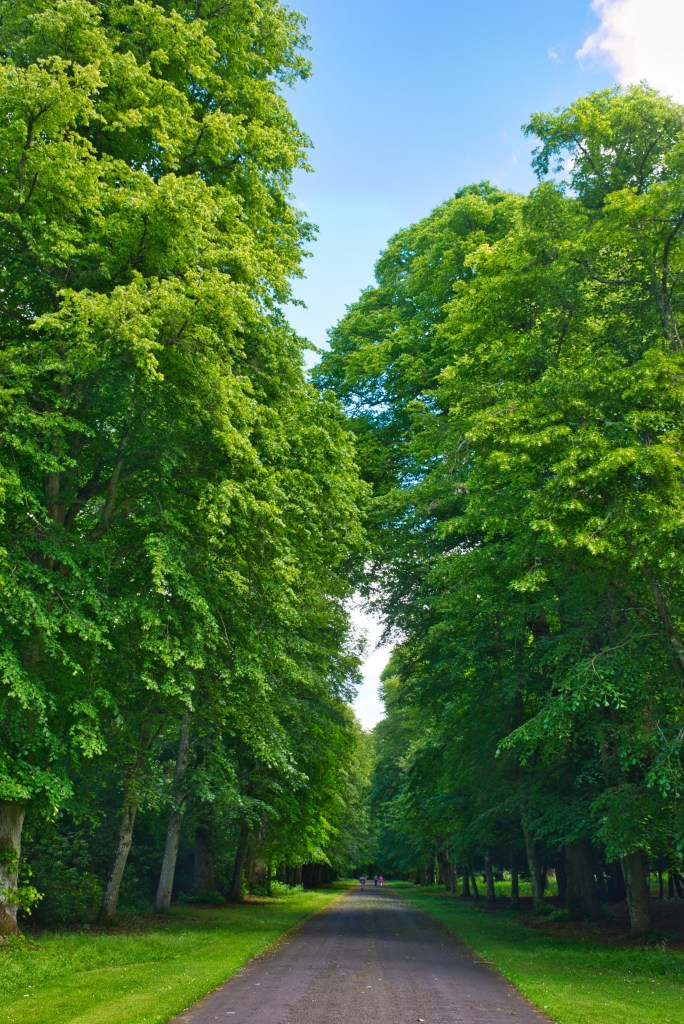 Walk in Scone Perth attractions.
