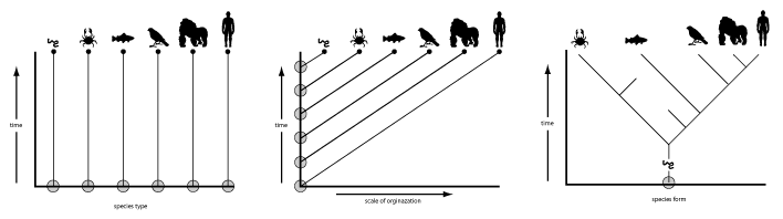Tree Thinking Group Introduction - Nature Textures - Classic Retina Collection
