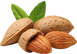 Fall Mood Acorns Tree Nuts And Seeds With A Pine Cone And A Gift Wrapped Box In Brown Paper And Raffia With Copy Space Stock Image Image Of Gratefulness Forest 111577245