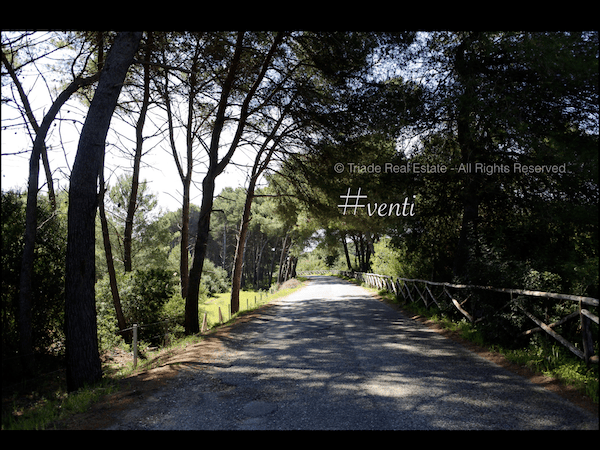 www.triaderealestate.com