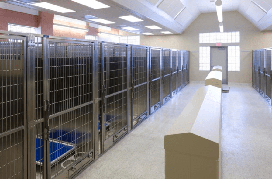 Kent county animal shelter