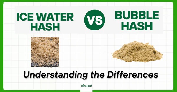 Ice Water Hash Vs Bubble Hash Understanding The Differences