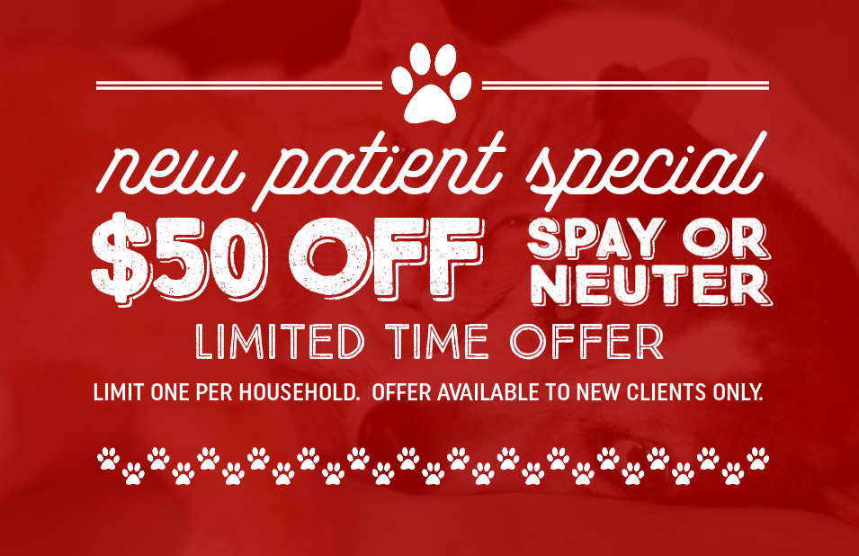 veterinary services at trinity pet hospital on trinity pet hospital carrollton