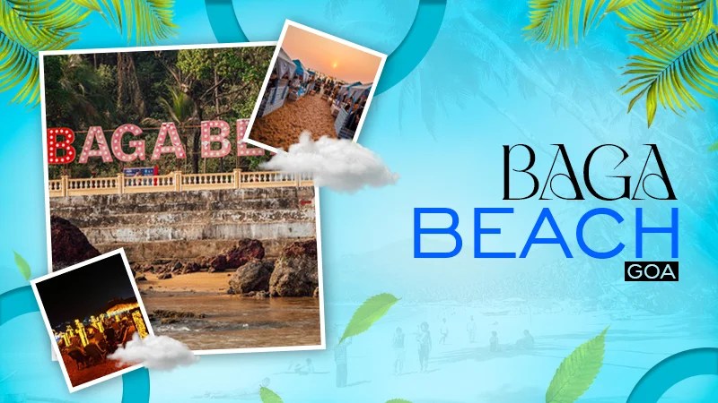Baga Beach Goa Timings Attractions Do S Don Ts 2026 Baga Beach Goa.webp