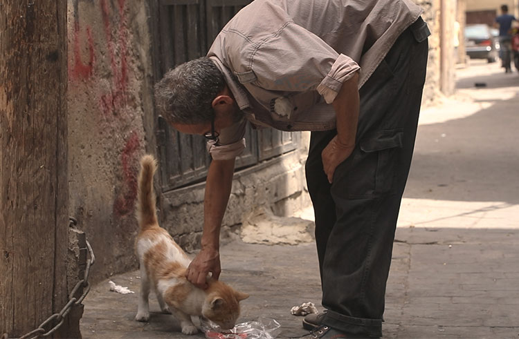 دجاج الفيحاء طازج من المزارع في المدينه يوصل الي البيوت في جده من غير هرمونات والتوصيل مجاني. Ø·Ø±Ø§Ø¨ÙØ³ ØªØ¹ÙØ´ | "Ø¨Ø³ÙÙØ§Øª" Ø§ÙØ¹ÙØ´