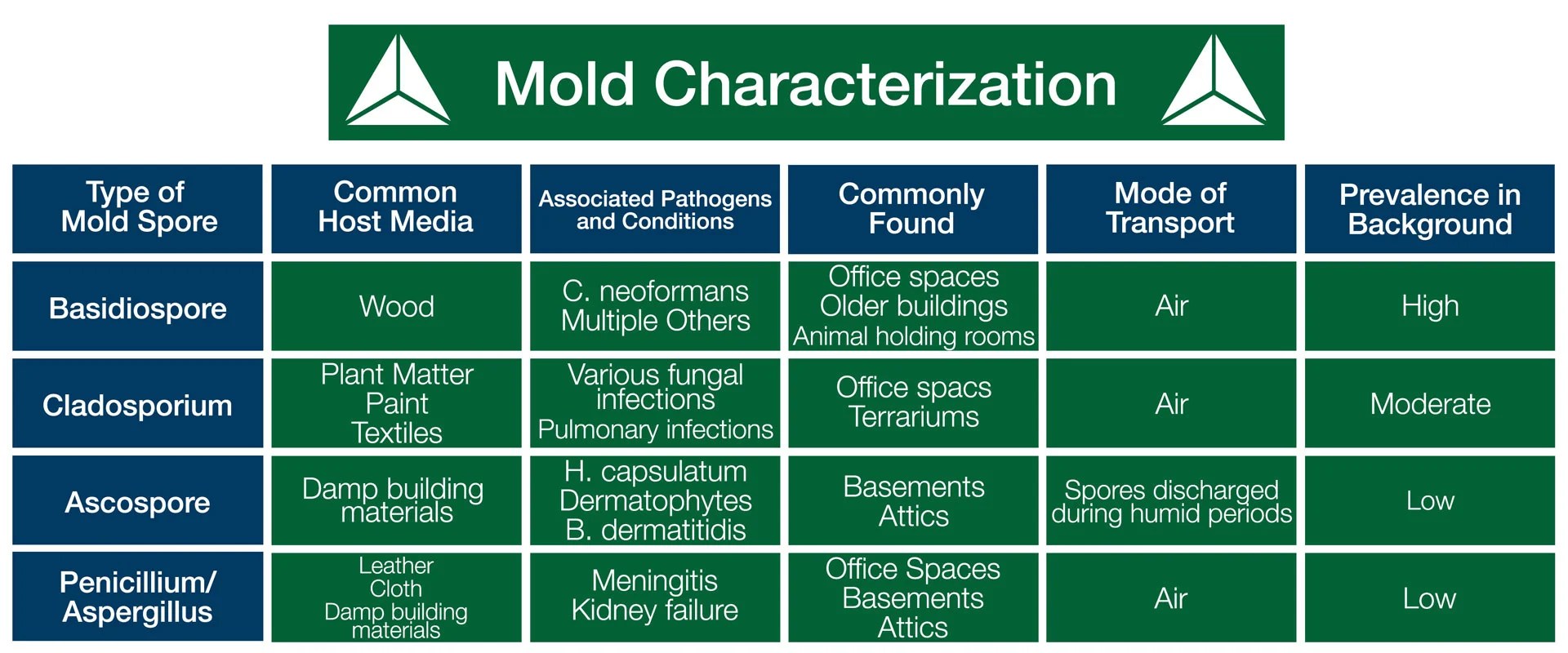 Mold Classification Chart At Sean Swick Blog - High Resolution Gradient Textures for Desktop