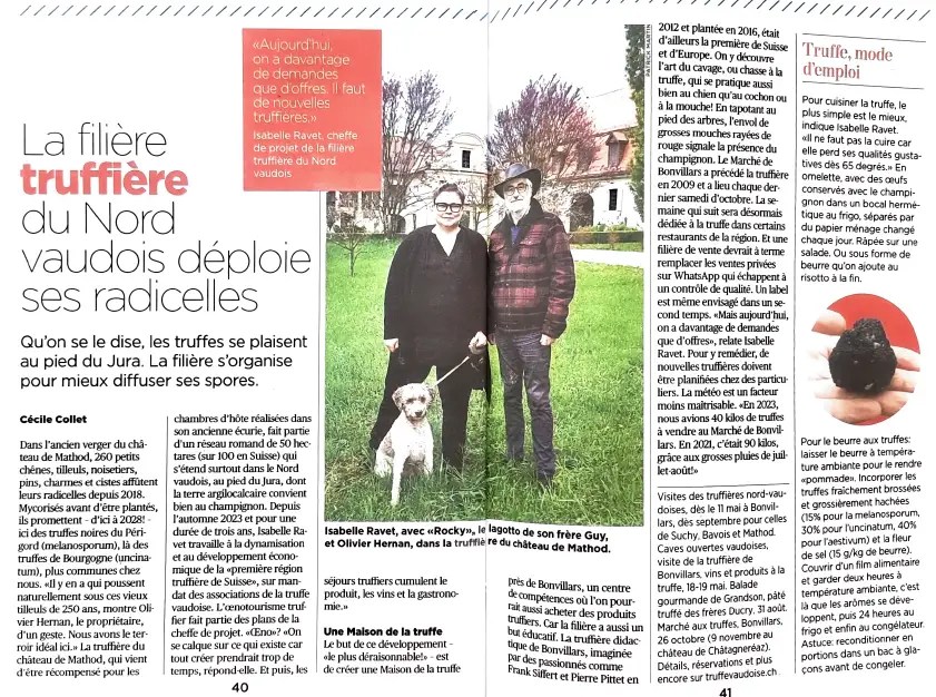 capture d'écran 2025 10 17 172654