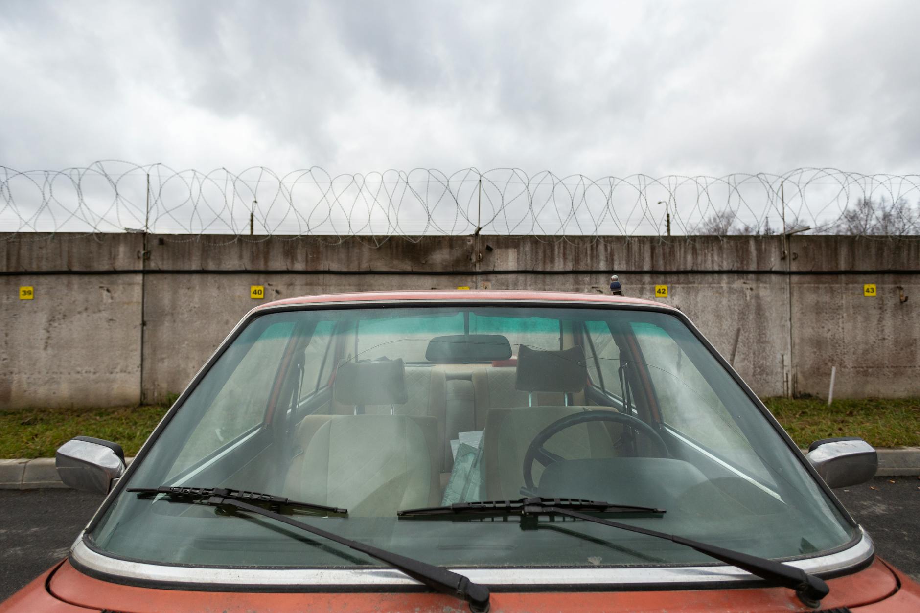 Read more about the article How Much Does Paint Protection Film Cost