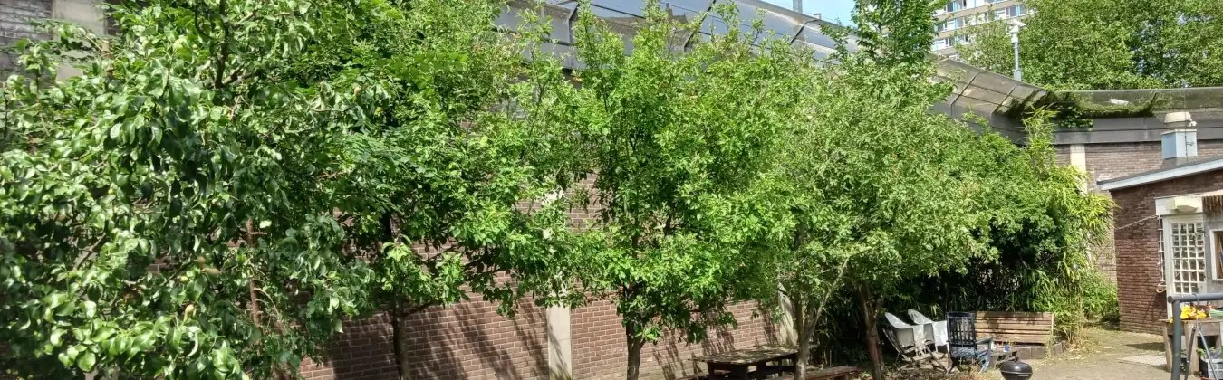 tuin onderhoud pbc "het wakkere end"