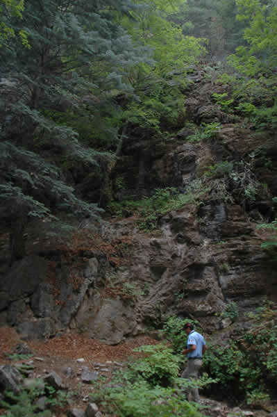Sierra de Ajos-Bavispe