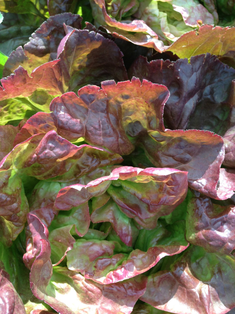 red butter