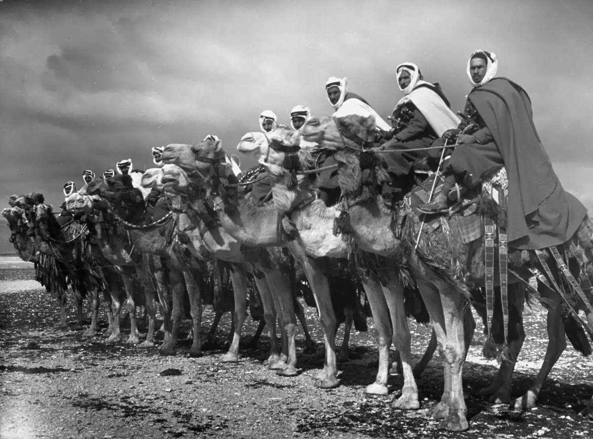 سردية الخيانة العربية.. قراءة في تصريحات أردوغان وتحوّل الوعي التاريخي للأتراك