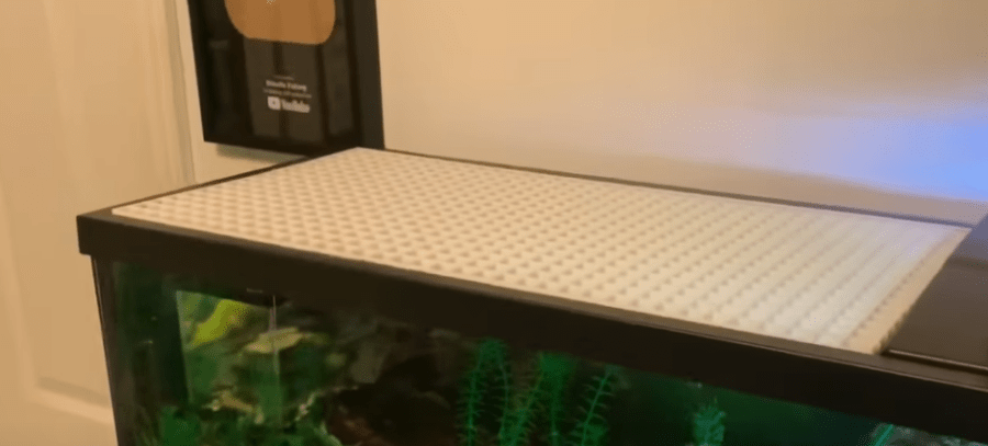 Cover Image of the Post