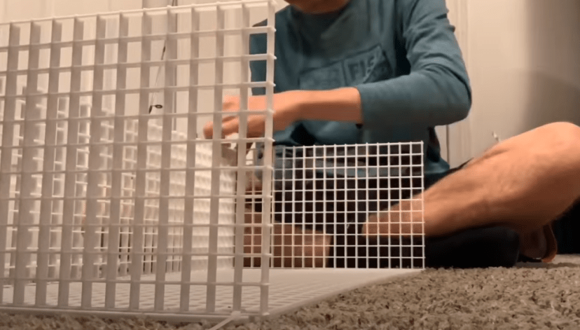 Diy turtle basking area ideas