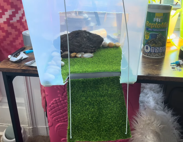 Cover Image of the Post