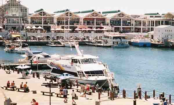 Cape Town 30 Minute Harbour Boat Cruise With Seal Watching Cape